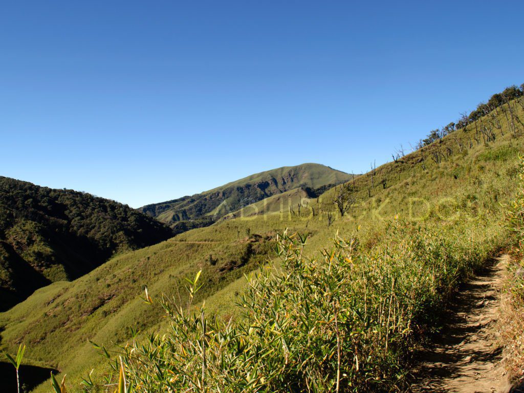 Trek with me to Dzukou Valley through narrow lanes