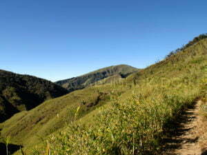 An adrenaline rush, can sneak into the Dzukou valley trek