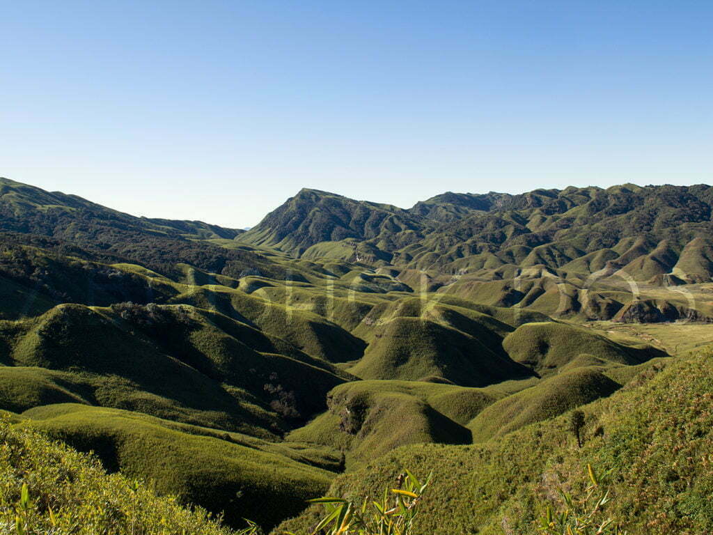 It’s not just about travelling unless it is full of adventure. So come along with me to the streams of Dzukou valley trek, the best trekking route in Nagaland