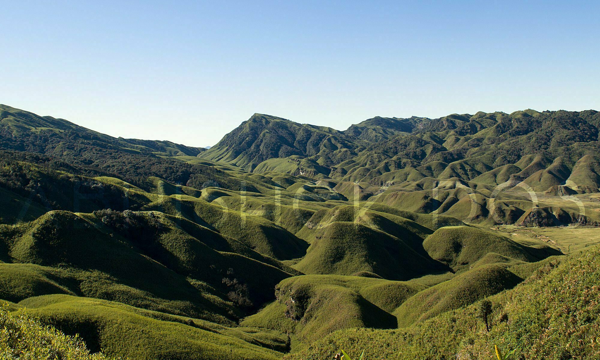 It’s not just about travelling unless it is full of adventure. So come along with me to the streams of Dzukou valley trek, the best trekking route in Nagaland