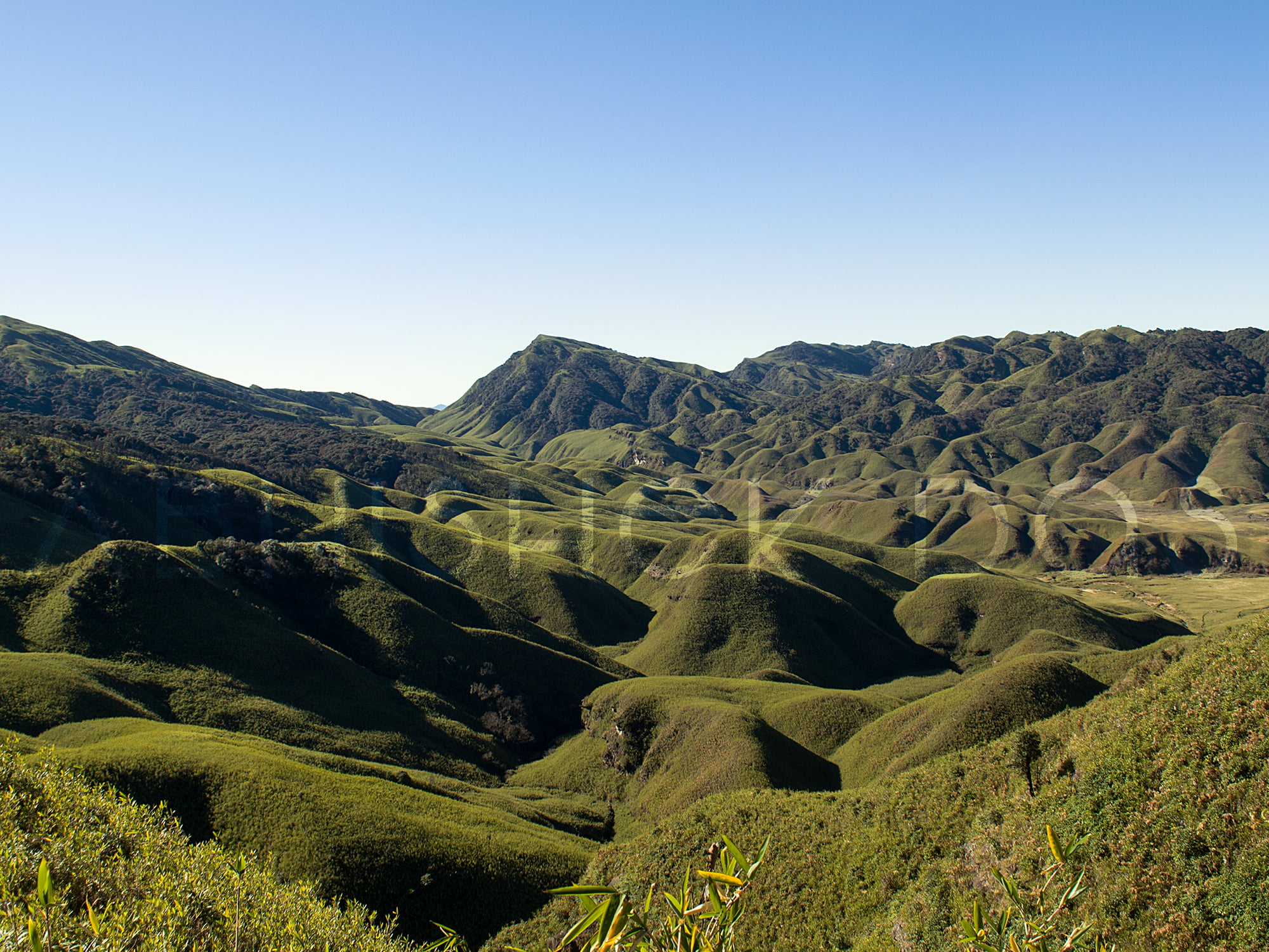 Camping at Dzukou Valley