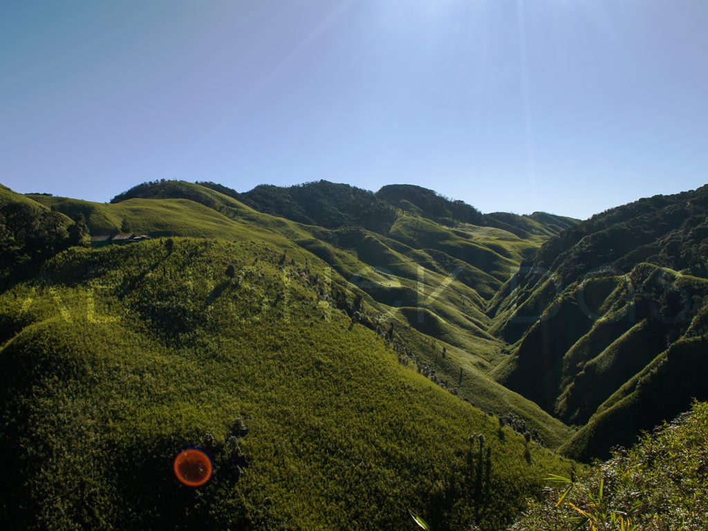 dzukou valley trek