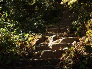 the real challenge began where we climbed the hills, the path was full of mud and rocks, however, most of it was shaped like stairs that made easier for the climbers
