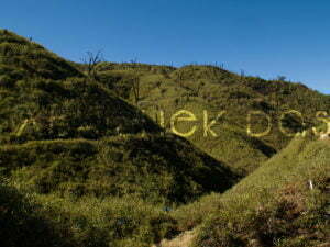 Our Unplanned Journey in the Valleys started from Vishwema as it is was the easiest route to start your trek.