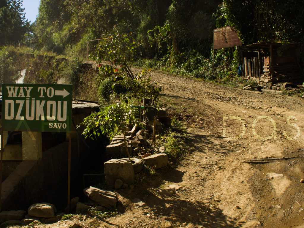 The way to Dzukou Valley