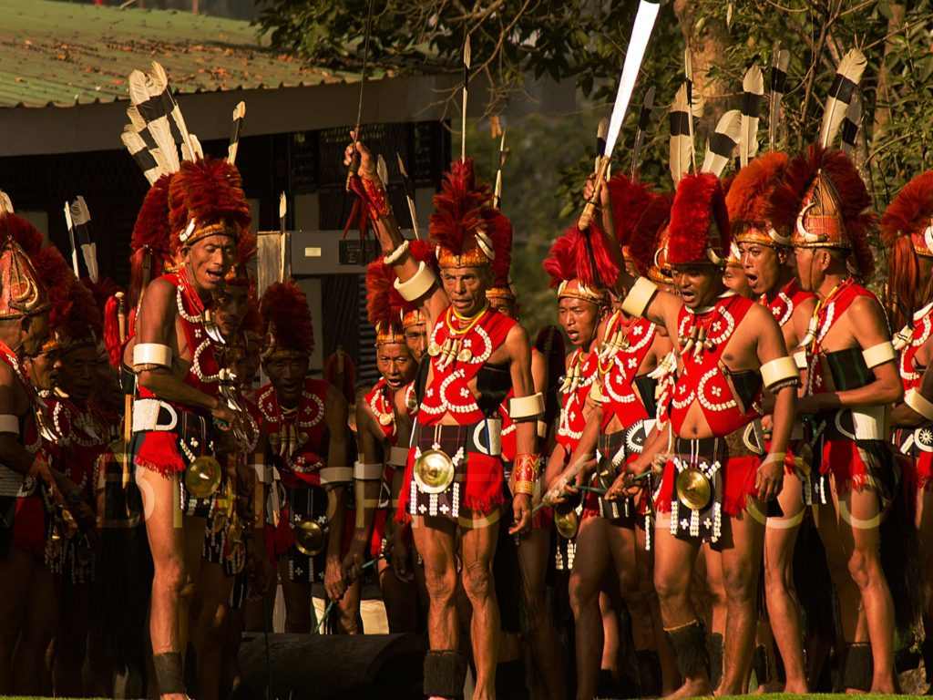 Hornbill festival is organized every year by Nagaland