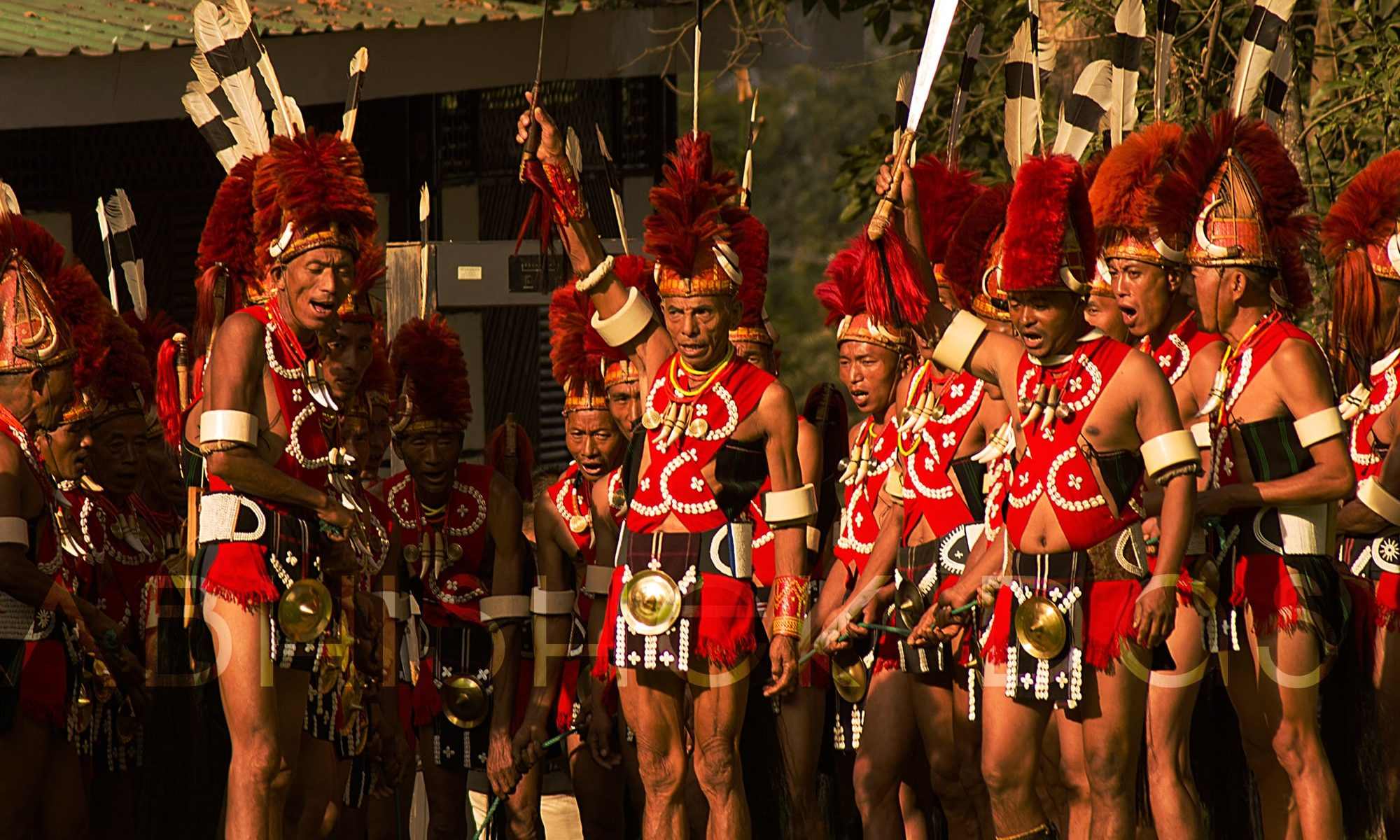 Hornbill festival is organized every year by Nagaland