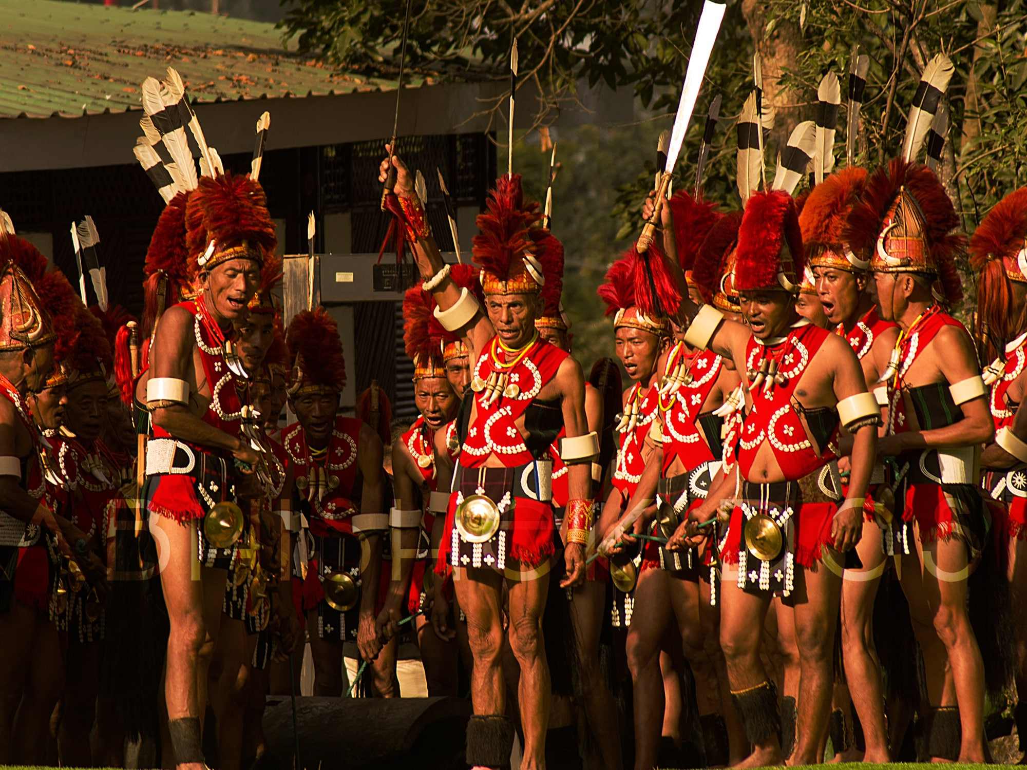 Hornbill festival is organized every year by Nagaland