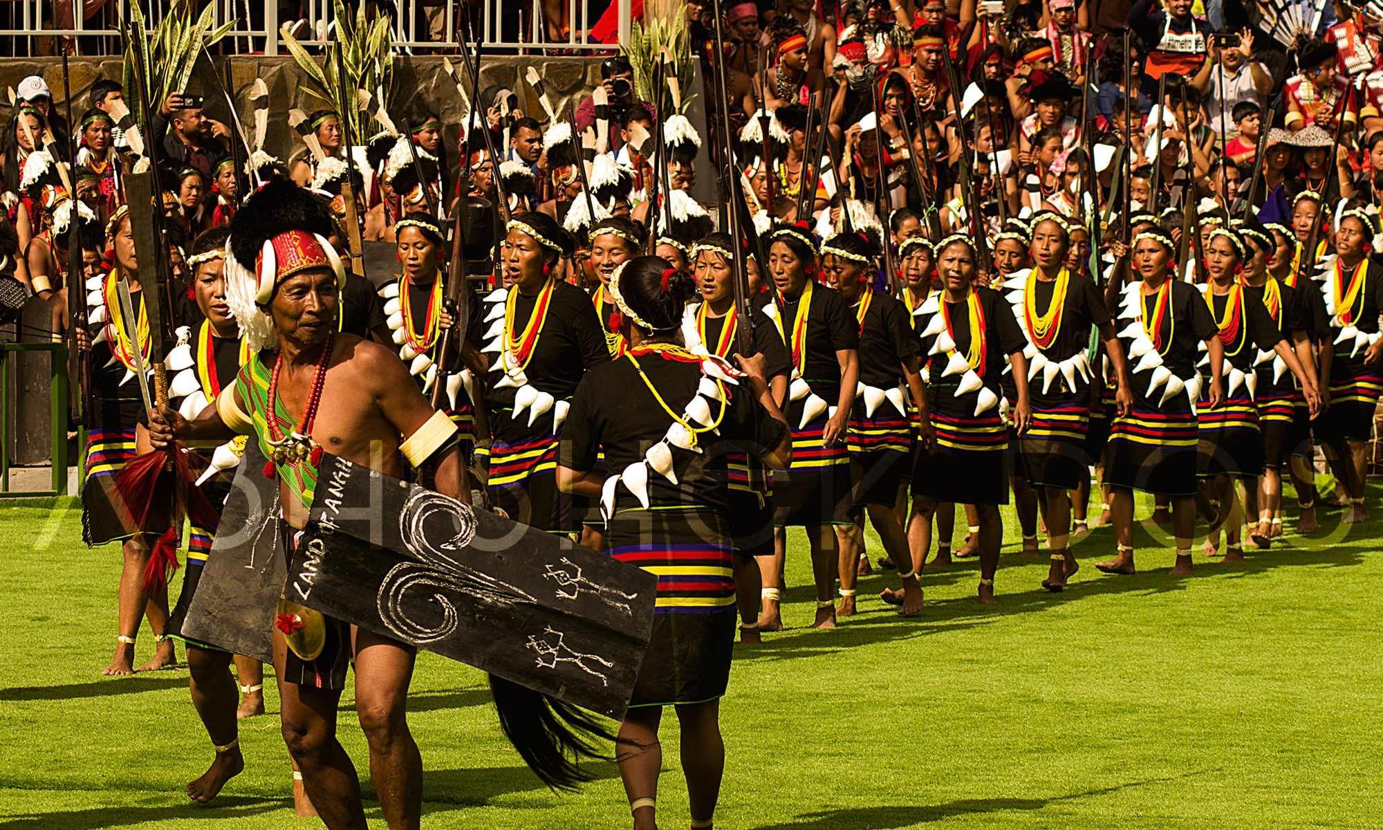 The colourful Hornbill Festival begins with a parade starting from the arena of Kohima town to Kisama Heritage Village.