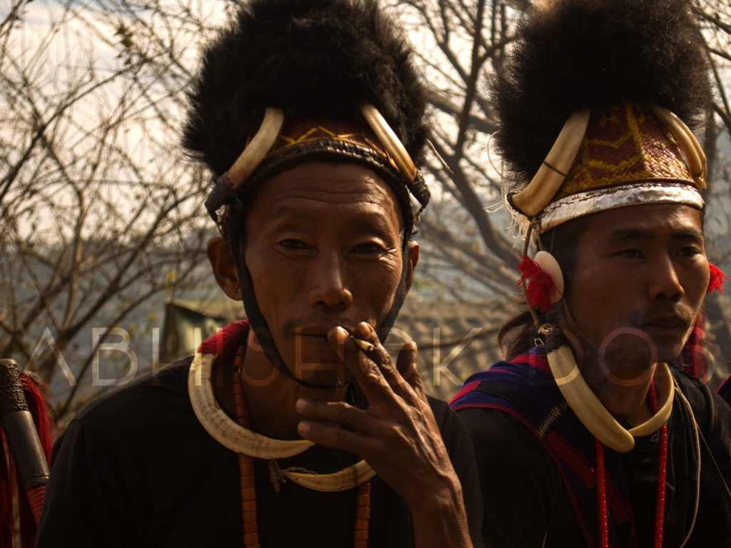 Hornbill festival is organized every year by Nagaland