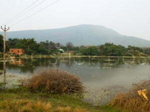 The geographic surroundings of the place are carved by hills, forests and beautiful streams.