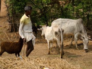 The Land of Red Soil “Puruliya”
