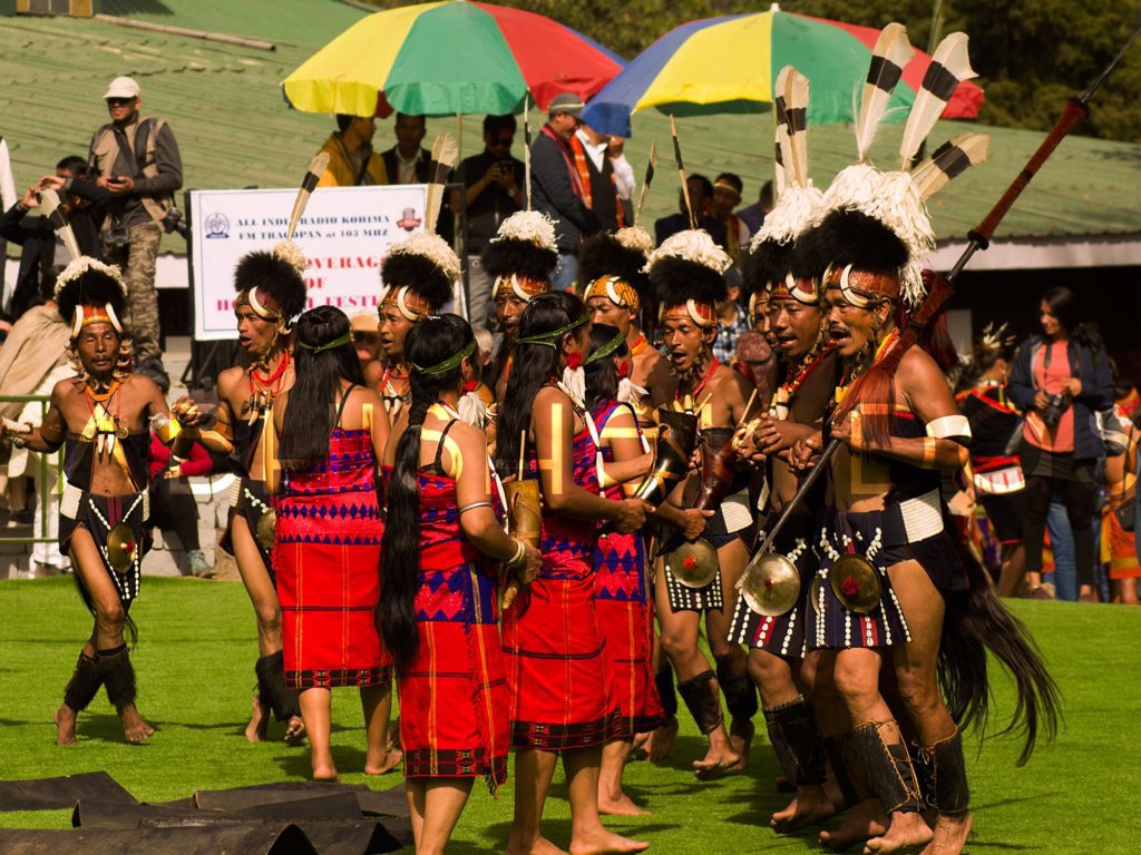 Hornbill festival is organized every year by Nagaland