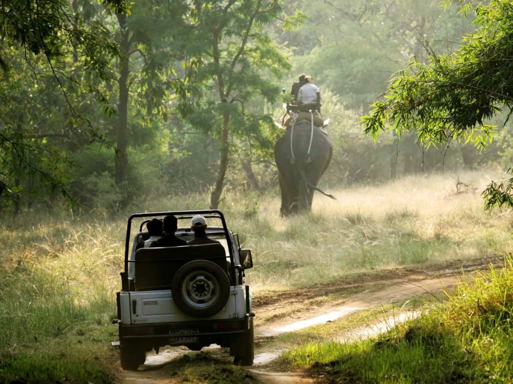10 Best Offbeat Jungle Safari’s of India