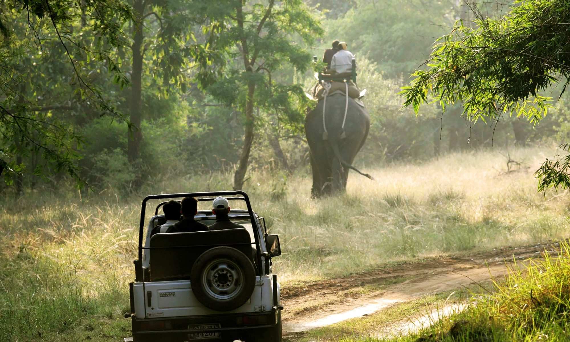 10 Best Offbeat Jungle Safari’s of India