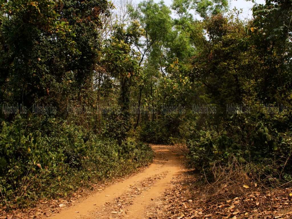 Jharnakocha Cave Purulia