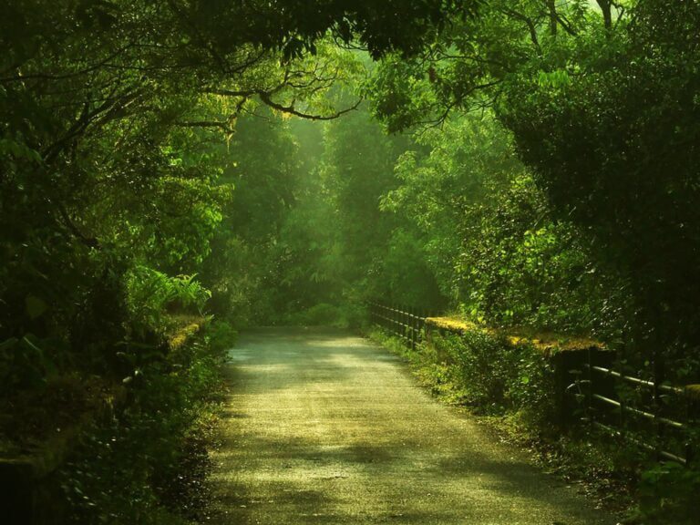 Underrated Destinations in India explore offbeat places