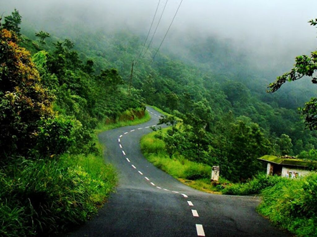 Gavi cast its enchanting spell that recounts the pristine forest and its wilderness