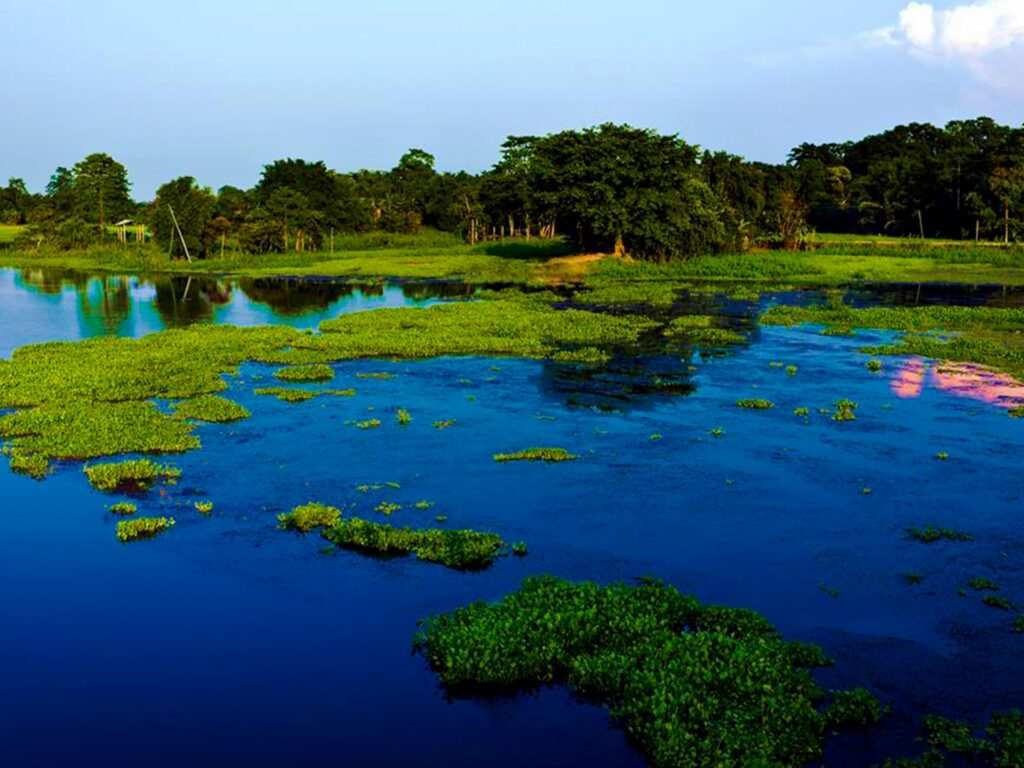 Majuli Island is one of the most surreal places in India located on the river Brahmaputra