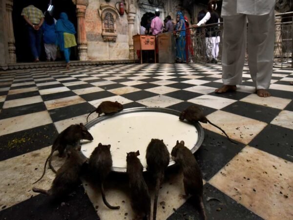 11-most-unusual-festivals-of-india-feature-articles-solitary-traveller