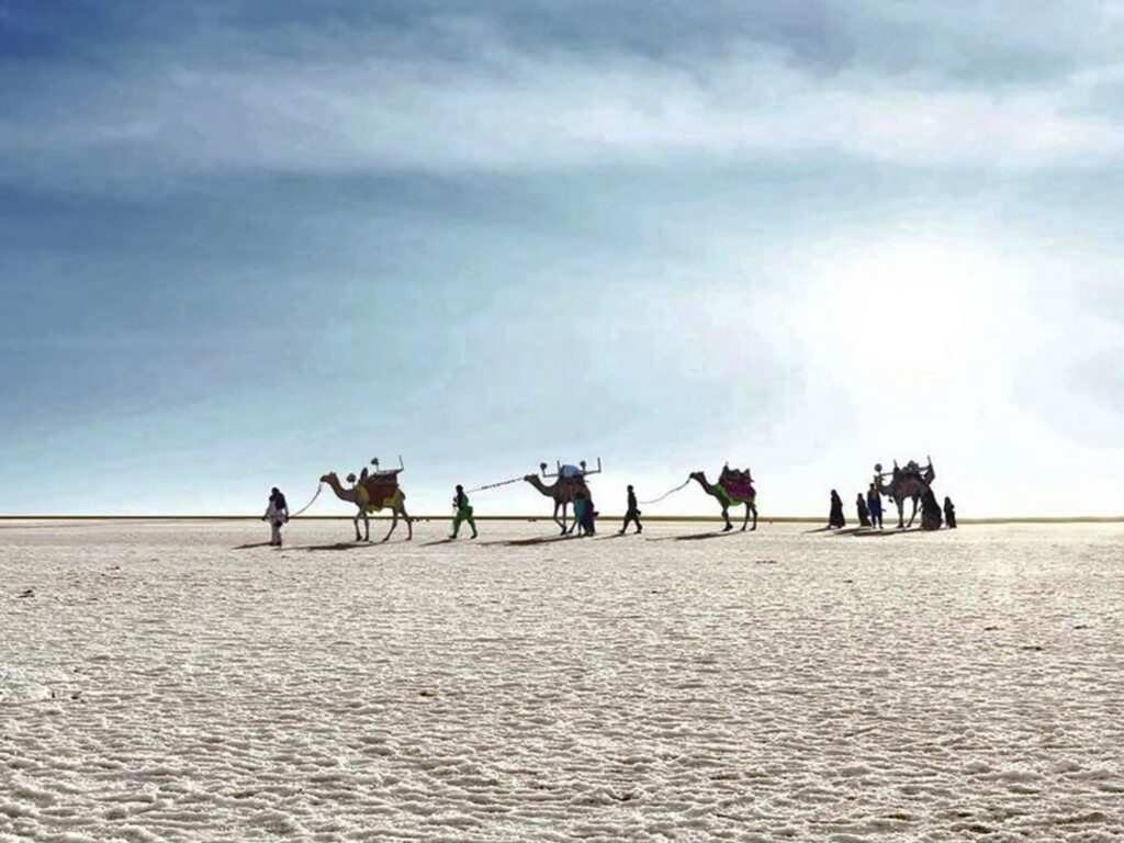 Rann Festival of Kutch