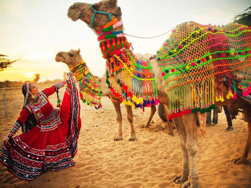 Camel Festival