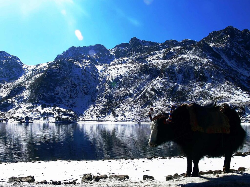 Gangtok to Nathula pass