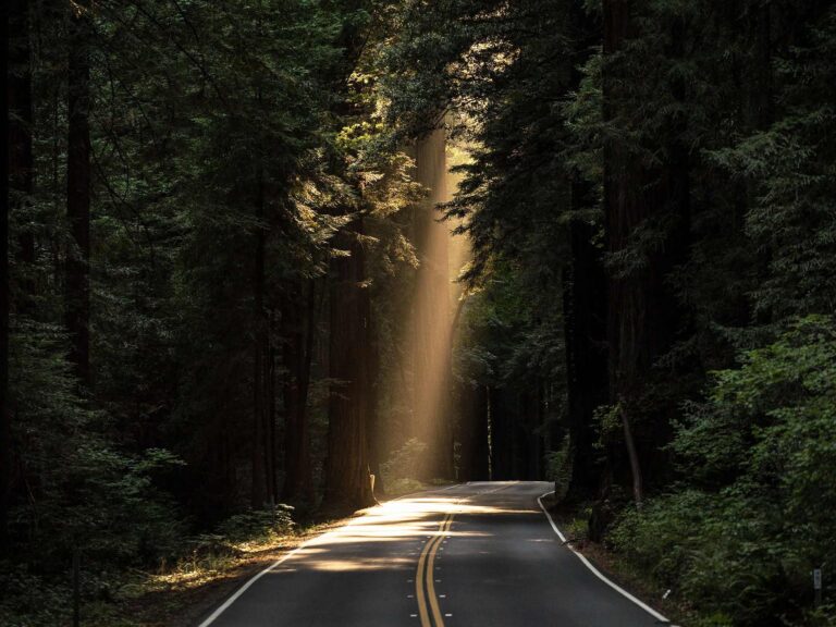 Road trips in India