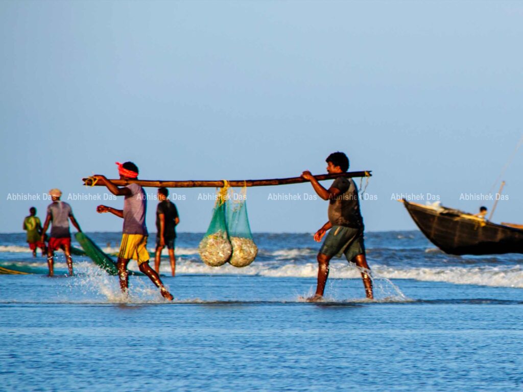 India- The Land of Fishes