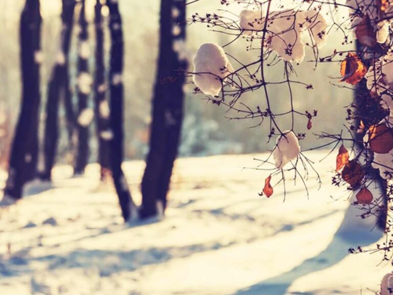 best winter vacation in India