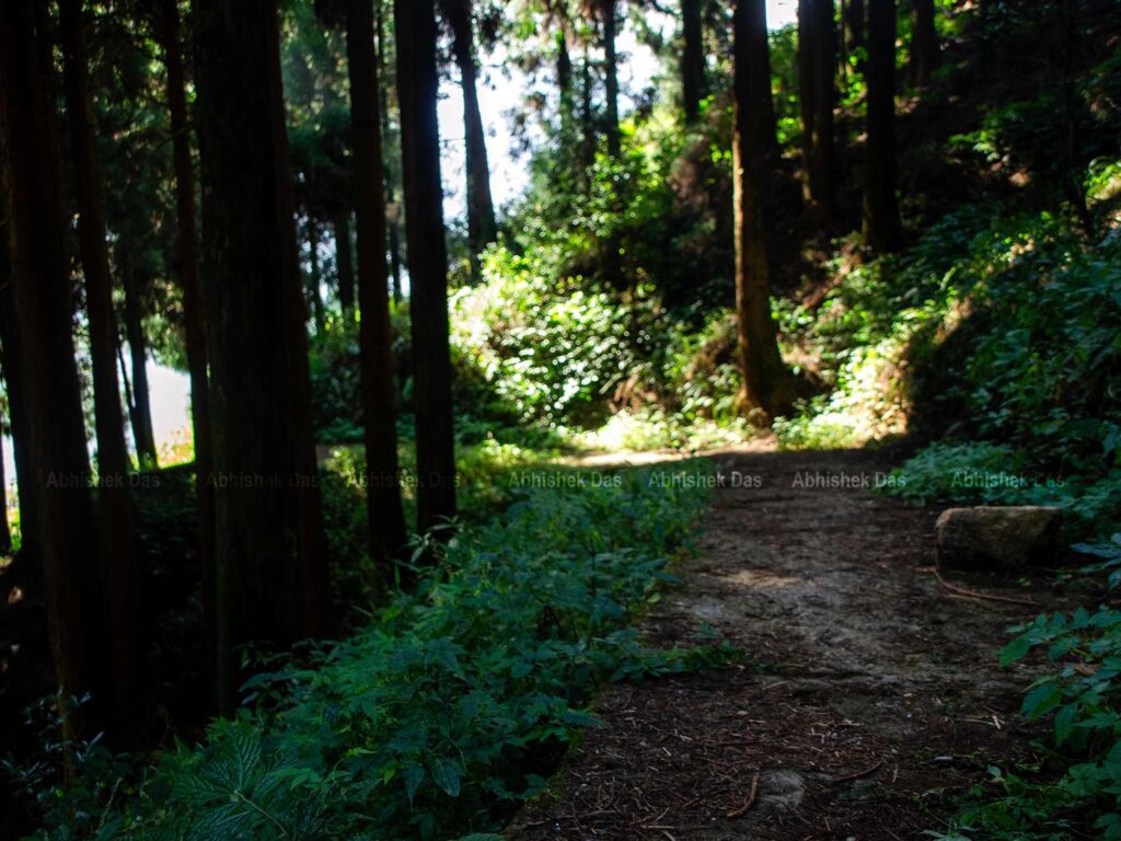 The small trails apart from the road are better routes for a trek from Manebhanjan.