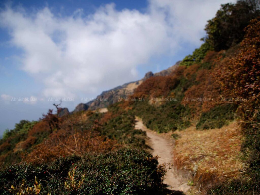 The unwinding trails to Sandakphu from one ridge to another.