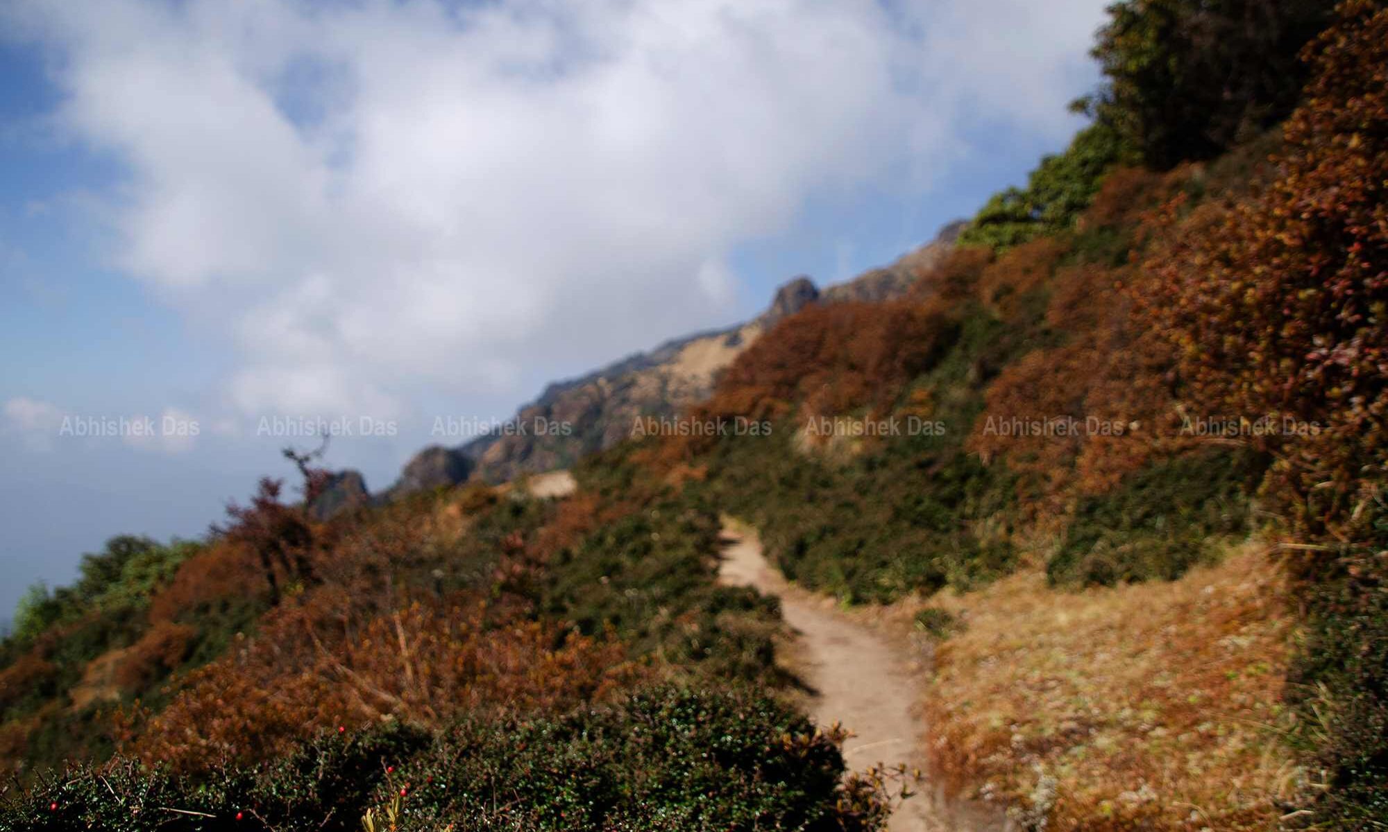 The unwinding trails to Sandakphu from one ridge to another.