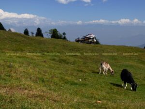 The fields of Chitrey, is a great place took a long break to enjoy the view
