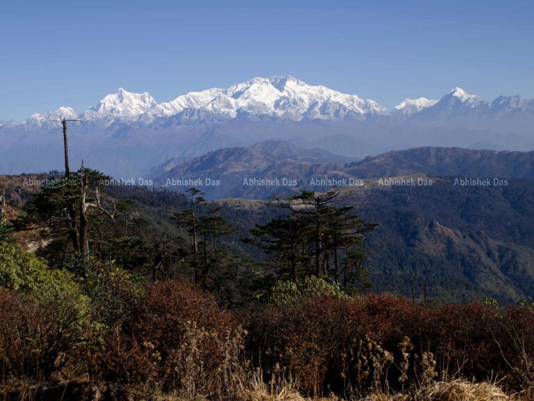Sandakphu Trek