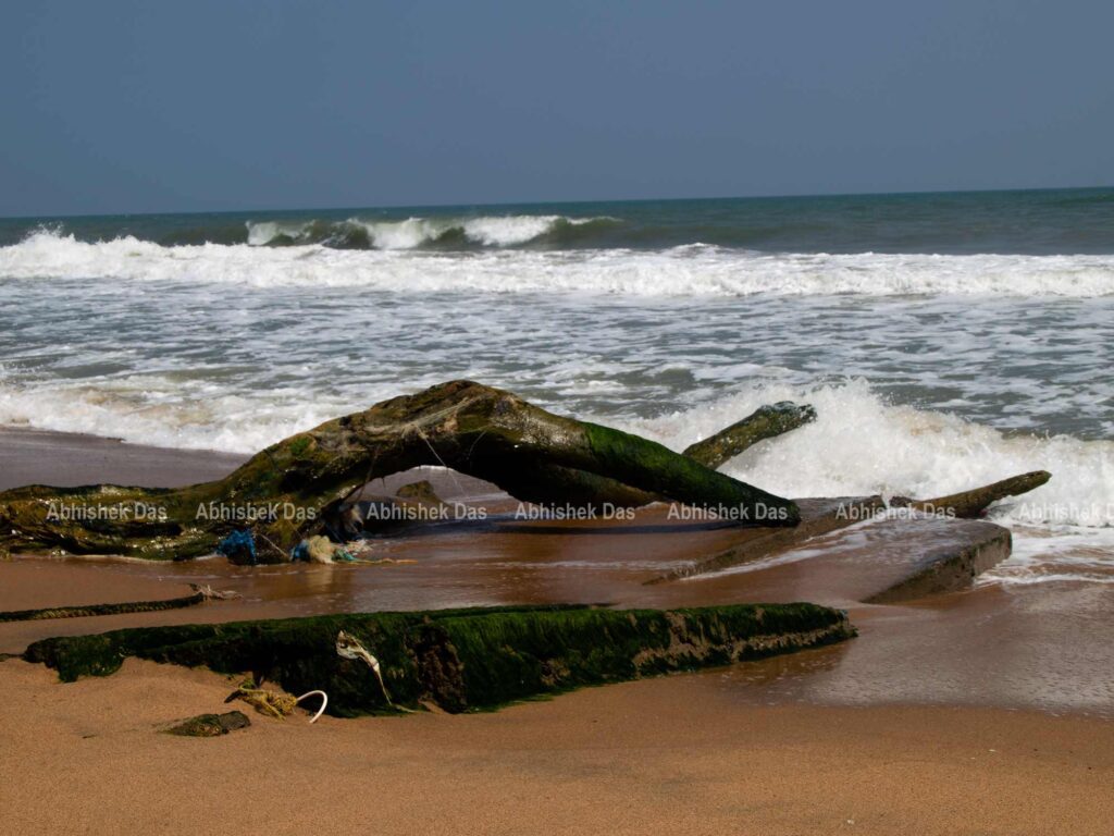 Auroville sea beach of Puducherry