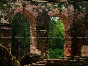 The five arched doorway house, something most interesting at Arikamedu