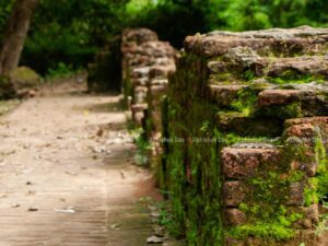 The site is under the protection of ASI and the wall has the huge sizes of bricks used to build.