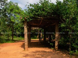 Auroville is around a mile from the visitor centre with nice and shaded walk marked by lots of signs and plaques relating to the township.