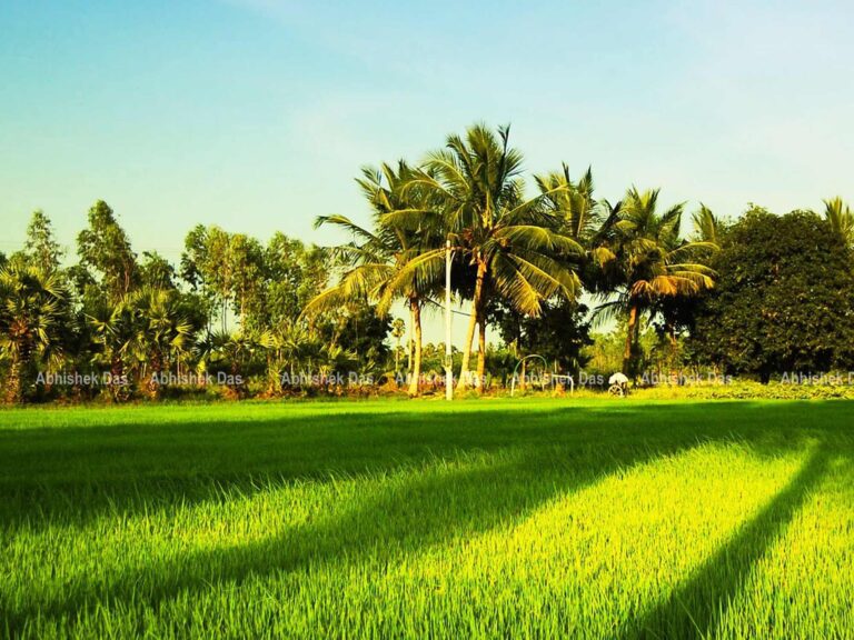 tamil_nadu