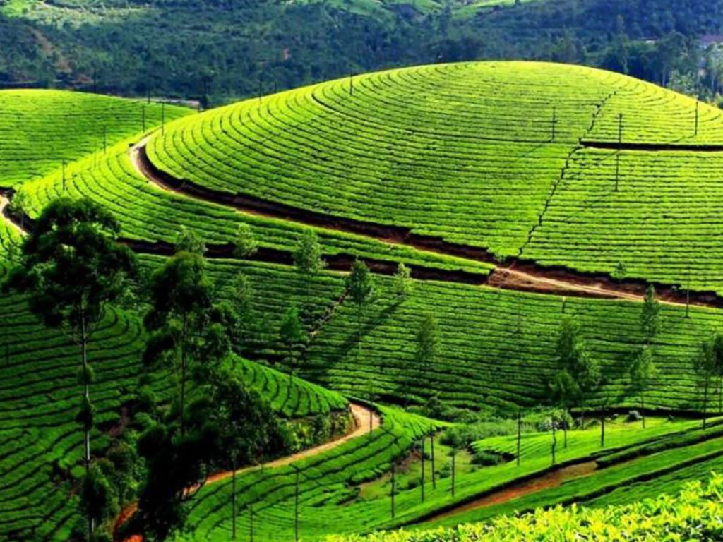 Araku Valley, Andhra Pradesh