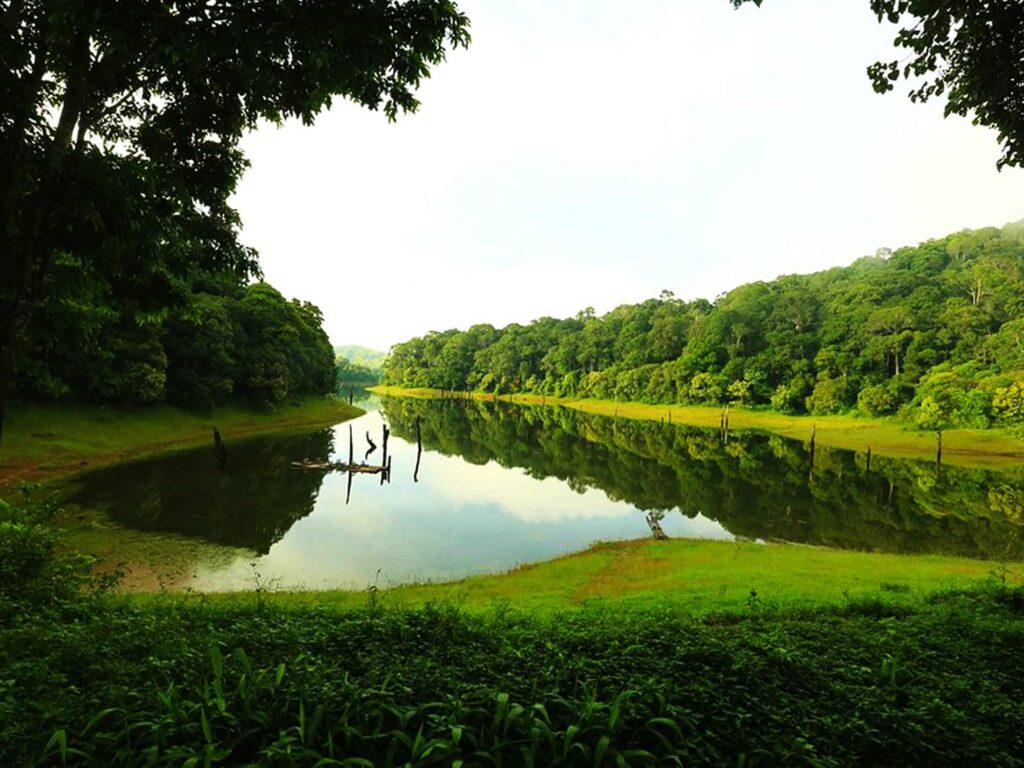 Thekkady, Kerala