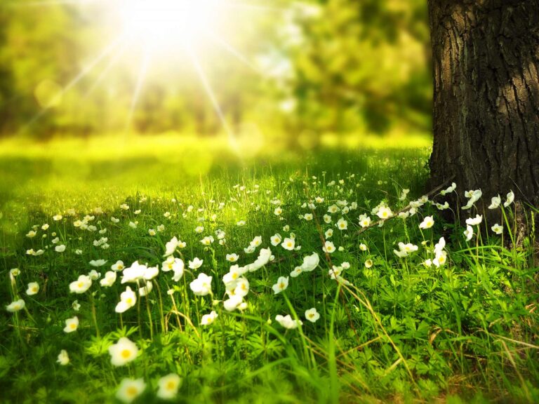 Spring season destinations in India