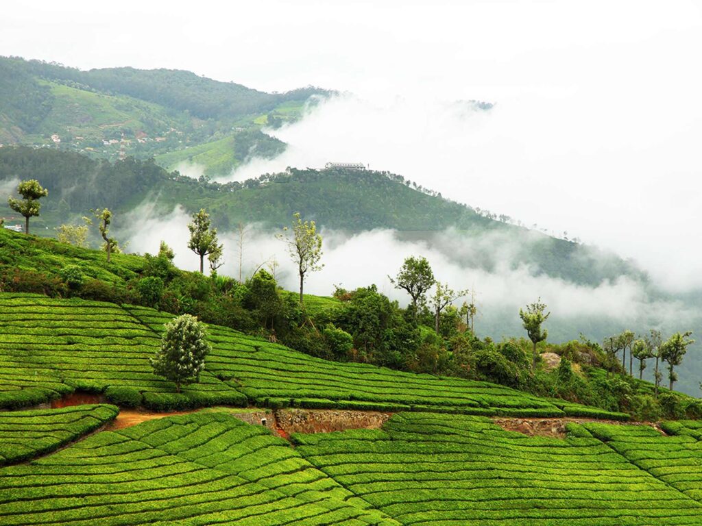 Coonoor, Tamil Nadu