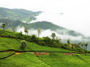10 Spectacular Hill Stations in India That Are Underrated | Feature ...