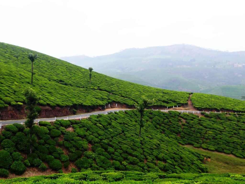 Devikulam, Kerala