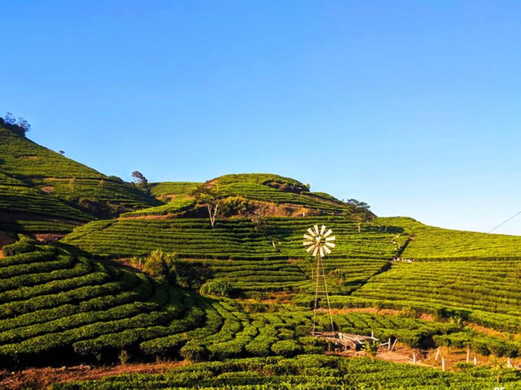 Vagamon, Kerala