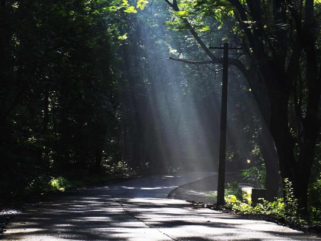 Sanjay Gandhi National Park Mumbai