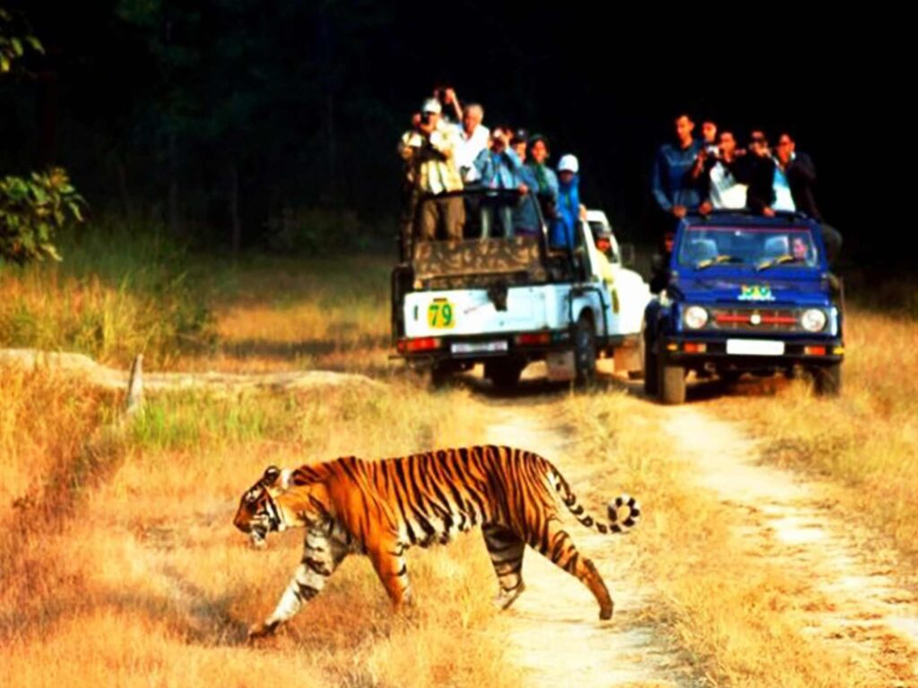 Jim Corbett Safari – Ramnagar