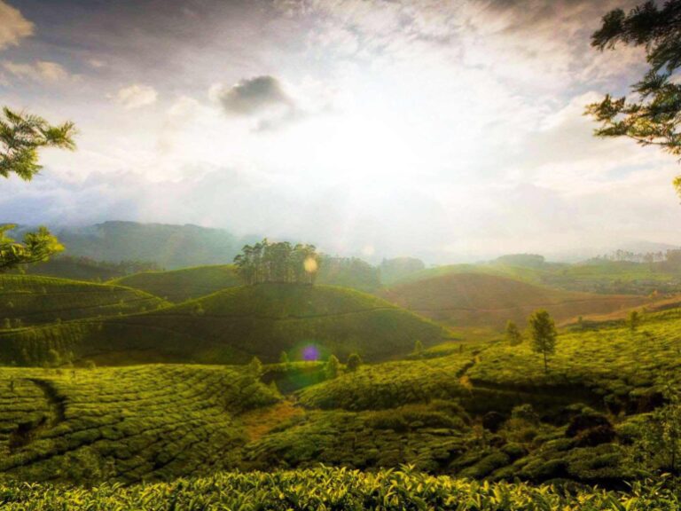 Gorgeous abandoned places of India for holidays